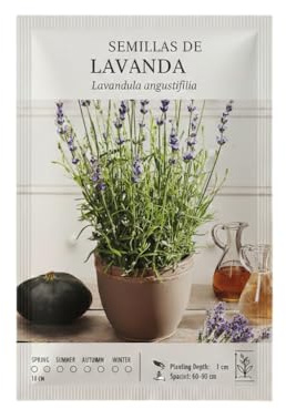 Espliego Tradicional Semillas de Lavanda para Exterior Soleado | DECOALIVE