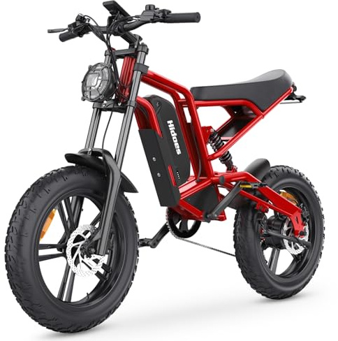iENYRID Electric Bike for Adults,Fat Tire Hidoes B6 25KM/H Electric Bike Bicycles 15.6Ah Removable Battery E Bikes for Adults Electric Mountain Bike for Men