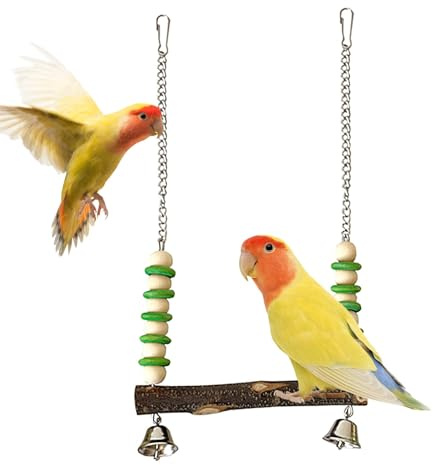 Perchoir à balançoire pour perroquet, perchoir à oiseaux, jouet à suspendre multicolore pour perroquet, perchoir pour inséparable, perruche, conure, pinsons, inséparables, calopsittes