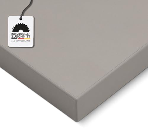 HausFux Spanplatte nach Maß - 2,5 cm stark, melaminbeschichtet, mit ABS-Kante - Made in Germany - für Möbel- und Innenausbau (Platin Grau, 60 x 30 cm)
