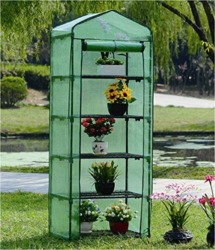STREND PRO Gewächshaus klein 200 x 69 x 49 cm für optimales Pflanzenwachstum, Mini-Gewächshaus mit 5 Ebenen, inkl. Gewächshausfolie, grünes Gewächshaus, Balkonfolie, Gewächshaus, winterfest