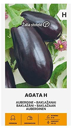 Zalia stotele | AUBERGINEN AGATA H samen| Gemüsesamen | Pflanze samen | Auberginensamen | Gardensamen | 1 Pack
