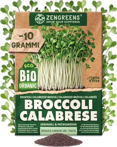 ZenGreens® - Semi da germoglio di Broccoli Calabrese bio (Brassica oleracea var. italica) - germogli facili da coltivare nel germogliatore - 10 g