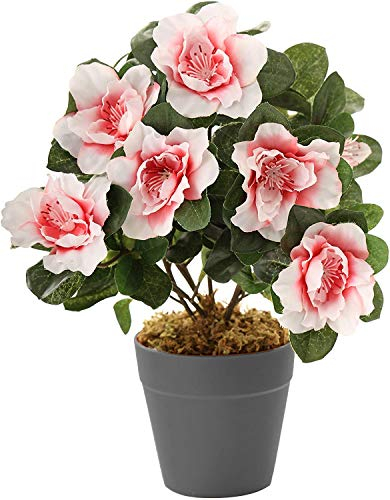 Best Artificial 27 cm Azalee Pflanze Kunstpflanze Künstliche Pflanze – Topf nicht im Lieferumfang enthalten (rosa)