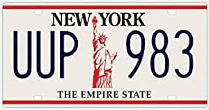 OPO 10 - Plaque D' IMMATRICULATION de Voiture USA - réplique en métal 30x15 cms : New York (C36)