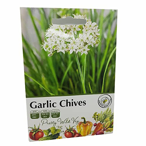 Garlic Chives Herb Seeds Vegetable Fruit Seeds Veg Seeds Cabbage Carrot Sweetcorn Tomato Strawberry (Garlic Chives)