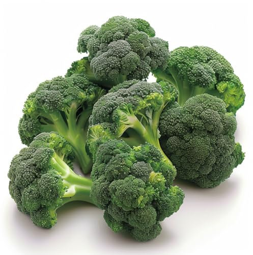 500 Graines de Brocoli Vert Calabrais - SemiSauvage Permaculture