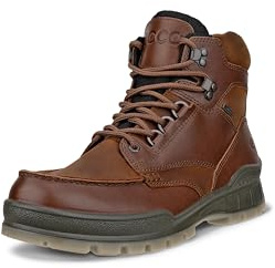 ECCO Track 25 High Gore-Tex Waterproof Hiking Boot, Stivali da Escursionismo Uomo, Bison, 41 EU