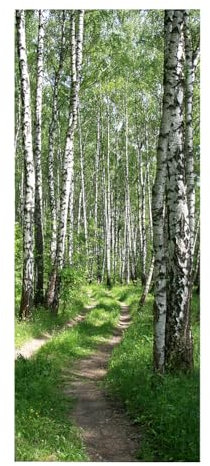 Pegatinas Para Puertas De Madera, adhesivo de pared para dormitorio, decoración del hogar, impermeable, vinilo extraíble de primera calidad, sendero de paisaje natural de bosque abedul blanco