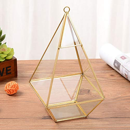 Nosqew geometriskt transparent glas blomrum ringlåda bröllop smycken förvaring heminredning mässing glas terrarium för sovrum vardagsrum kontor storlek 13 x 13 x 24 cm 1 st (som visas)
