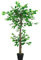 Outsunny Planta Artificial de Té 120 cm Árbol Artificial en Maceta Decorativa para Interior Hogar Salón Oficina Ø16x120 cm Verde