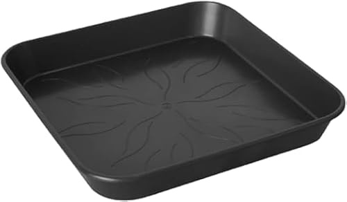 GROWMANIA Pack 5 Platos Cuadrados para Macetas11 litros 25x25 - Plato Plástico para Maceteros