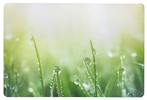 Schreibtischunterlage Gras mit Tau/Tropfen grün 40 x 60 cm abwischbar