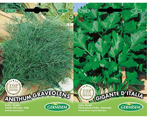 Germisem Anethum Graveolens Semi di Aneto 4 g & Gigante D'Italia Semi di Prezzemolo 10 g