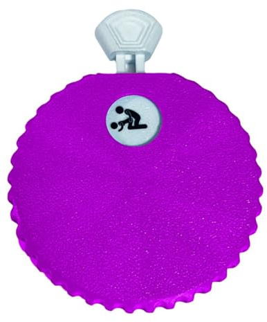 LYEAA Juguete de ruleta desafiante para pareja, regalo de noche, selector de posición para pareja (morado)