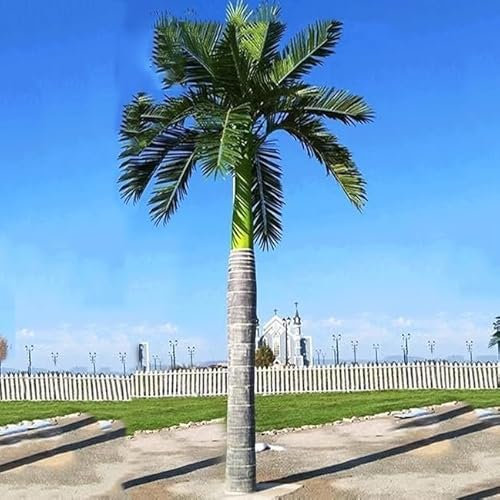 Sohodoo Faux Palm Tree Tall Fake Tropical Golden Cane Palm Plant Large Faux Palm Tree Artificial Palm Tree for Outside Patio, Poolside, Lawn and Indoor Decor 120cm(2.5m/8.2FT)