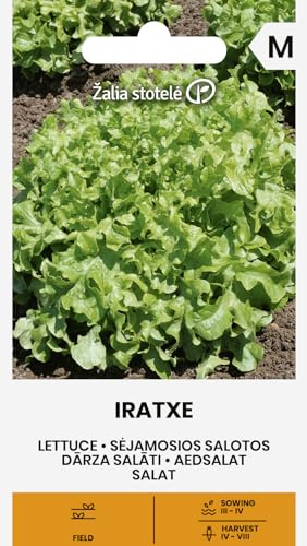 Zalia stotele | Lechuga - IRATXE Semillas de huerto | Lechuga Batavia | Variedad medio-precoz | Hojas verde claro crujientes onduladas | Semillas de lechuga | 1 sobre