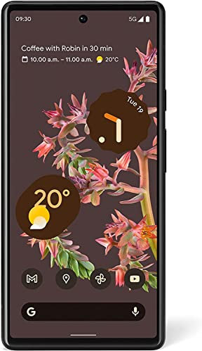 Google Pixel 6 128GB + 8GB RAM Factory Unlocked 5G Smartphone (Stormy Black) - UK Version, Stormy Black (Reacondicionado)