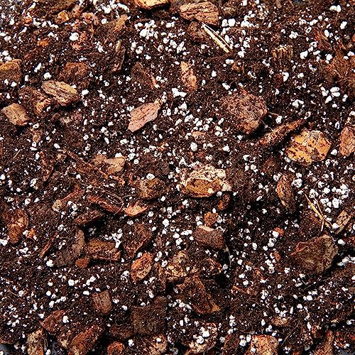 Premium Orchid Potting Mix with Biochar & Coco Coir – Fine Orchid Bark, Perlite & Gentle Organic Feed – Fast Draining Soil for Phalaenopsis & Indoor Orchids (5L)