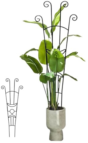 Spaljé för klätterväxter inomhus, stödpinnar för husväxter | Monstera pinnar – för trädgårdsentusiaster trädgård balkong pothos murgröna klematis