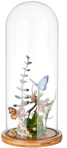 BENECREAT Couvercle en Verre Transparent pour Fleur Éternelle de 11.75x30.5cm Cloche en Verre avec Base en Bois Massif Brun Sable pour Bricolage de Fleurs