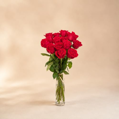 FLORES SOLIDARIAS - Ramos de Flores Naturales Rosas Rojas - Ramo Fresco de Calidad para Regalo, San Valentín, Día de la Madre, Bodas, Aniversarios, Cumpleaños y Decoración del Hogar