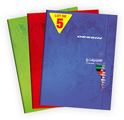 Calligraphe 7555C - Un lot de 5 cahiers de dessin (gamme 7000 de Clairefontaine) 96 pages 24x32 cm 120g unies blanches, couverture carte offset, couleurs assorties