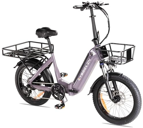 Cyseekin C20 Pro Vélo électrique pliant, 20 x 3 pouces, avec panier à vélo avant et arrière, écran LCD couleur, freins hydrauliques, batterie 48 V 15,6 Ah, moteur 250 W, Pedelec jusqu'à 25 km/h, 120