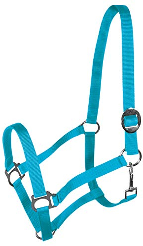 York Nylonhalfter Halfter Genickstück Verstellbar durch Schiebeschnalle Harmony Pferdehalfter (Cob, türkis)