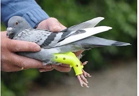 BVT 2 Prothese für Tauben Beinschiene - Brieftauben- Rassetauben Taube-Vogel- Vögel -Geflügel