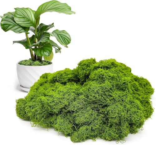 MisFun Muschio Stabilizzato, 100g Muschio Finto per Decorazioni, Muschio Artificiale per Decorare, Muschio, Muschio Decorativo per Artigianato, per la Casa, Pasqua, Mockup Making (Verde Chiaro)