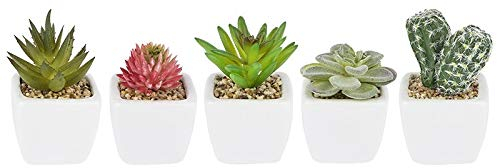 ideen mit herz Lot de 5 Plantes succulentes artificielles en Forme de Cactus - Décoration idéale pour Bureau, Rebord de fenêtre, Salon, Chambre à Coucher | Pot de Fleurs Blanc de 6,5 à 9 cm de Haut