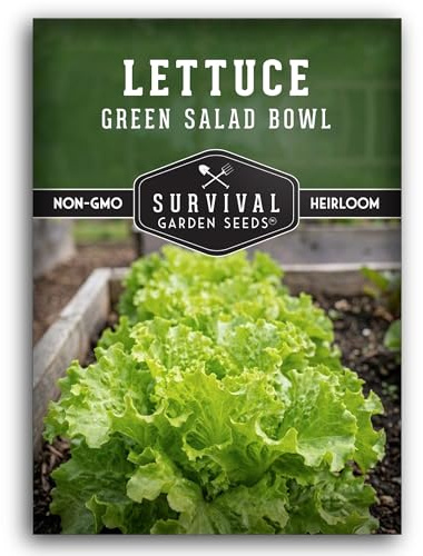 Green Salad Bowl Lettuce Seeds for Planting - Heat Resistant Green Loose Leaf Lettuce Seed for Garden Growing, High Yield Heirloom Non-GMO Variety - Survival Garden Seeds (1 Pack)