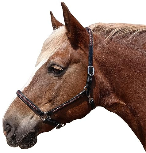 Brama West Cabestro de piel para caballo, diseño de Meadow