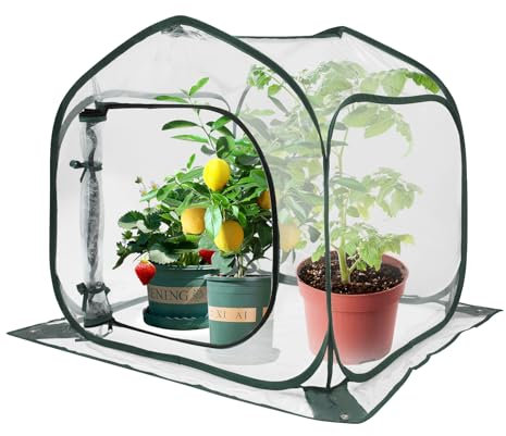 Mini serre pour intérieur ou extérieur - Transparente et pliable - 80 x 80 x 80 cm - Protection hivernale avec fermeture éclair - Tente pour légumes, fleurs, herbes, semis