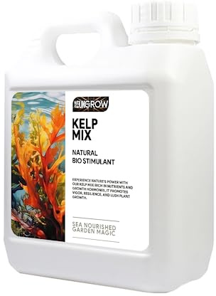 UK Grow Premium Hydroponic and Soil Nutrients - Maximize Plant Growth and Yield (10Ltr, Kelp Mix)