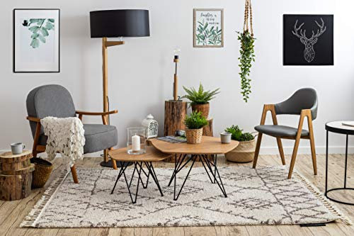 rugsx Teppich hochflor Berber Shaggy, Franse, marokkanischer Stil, für Zimmer, Wohnzimmer, Schlafzimmer, FEZ Creme/Braun 240x330 cm