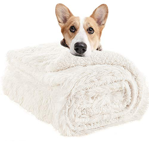 LOCHAS Luxury Fluffy Dog Blanket, Extra Soft and Warm Sherpa Fleece Pet Blankets for Dogs Cats, Plush Furry Faux Fur Puppy Throw Cover, 30''x40'' Cream White