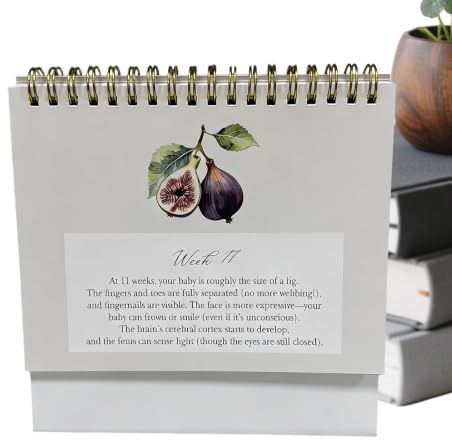Graviditetskalender Vecka för Vecka Inbunden Journal Tracker | Förväntansfull Mamma Planerare Kontor Skrivbord Planering Uppföljning