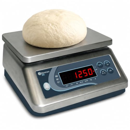 Baxtran SS15 - Balance en Acier Inoxydable, 15kg/1g, 23 x 19 cm, Protection IP-67