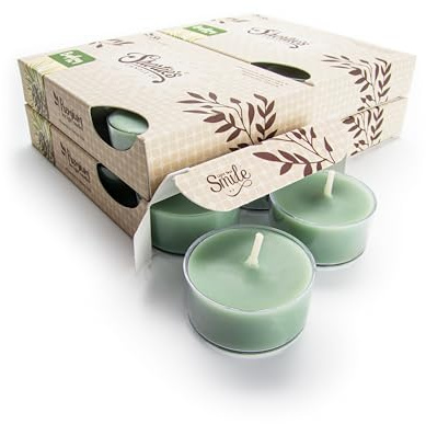 Bayberry Fir Premium Tealight Candles Bulk Pack - Highly Scented with Essential Oils - 24 Green Tea Lights - Beautiful Candlelight - Made in the USA - Christmas & Holiday Collection
