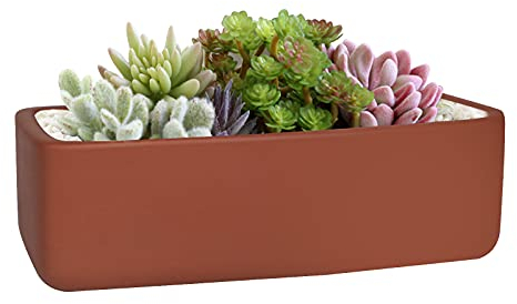 Thirtypot 25,4 cm rechteckiger, flacher Terrakotta-Topf, Tonlanger Sukkulenten-Übertopf mit Drainagelöchern für Zimmerpflanzen, Terrakotta