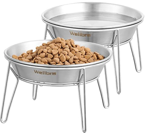 Wellbro Ciotole rialzate per gatti, ampie ciotole in acciaio inox con supporto in metallo, senza stress, per cibo e acqua per gatti, gattini, cuccioli e cani di piccola taglia, confezione da 2