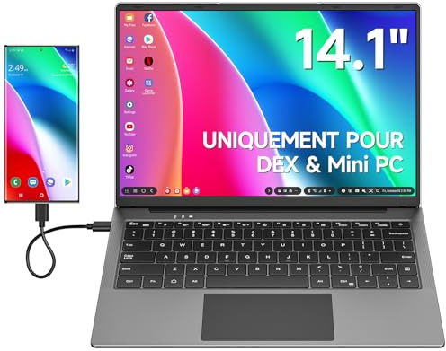 Dopesplay Lapdock für Samsung DeX Modus, 14,1 Zoll HDR IPS Tragbarer Monitor mit Tastatur für Mini - PC, USB - C Tragbarer Monitor mit eingebauter 5000 mAh Akku, QWERTY - Tastaturbelegung