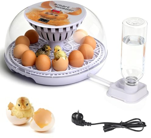 EFUTURETIME Incubadora Automática para Huevos de Gallina, Aparato Incubador para Hasta 12 Huevos con Volteo Automático, Regulación de Temperatura