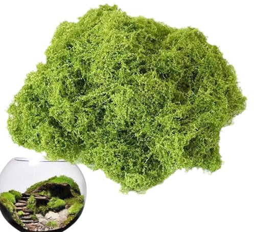 Bexdug Feengras-Rasen-Miniatur-Ornament, künstliches Kunstmoos - Wollähnliches künstliches Bastelmoos - Künstliches Moos, Kunstmoos für Mooswände, Glasaquariummoos, Mooskränze