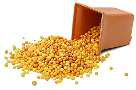 Osmocote 'Exact' - Professional Controlled Release Plant Fertiliser - 5-6 Months of Nutrients - Ideal for all Plants (250 Grams)