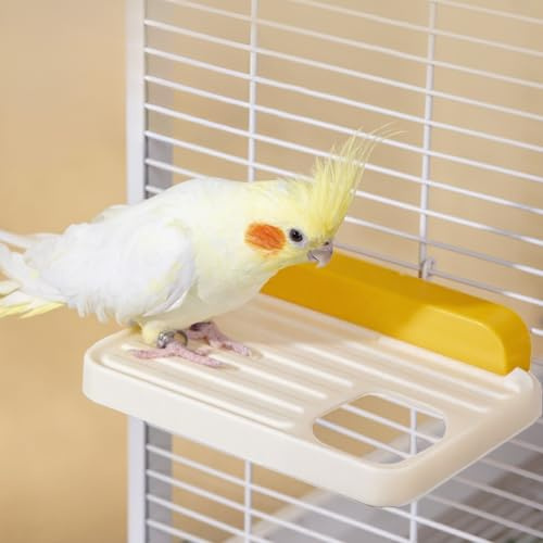 Plateforme pour Oiseaux, Lot de 2 Accessoires en Plastique pour Cage Aire de Jeu pour Perroquets, Conures, Perruches, Perruches Ondulées et Calopsittes (Blanc, 2 Pièce (Lot à 1))