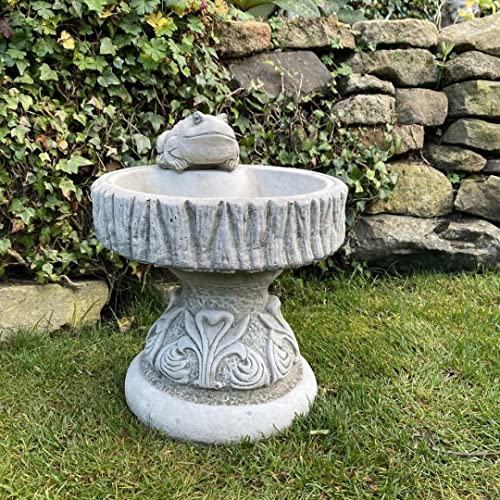 DGS STATUES – Stone Cast, Round Decorative Birdbath/Feeder with Sitting Frog, Hand Finished, Statue, Sculpture, Birthday Gift for Mom, Idea for Grandma
