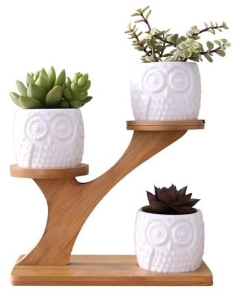 Milky Way 3Pack Succulent Pots,Owl Succulent Plant Pot Ceramic Garden Plant Pots Mini Flower Pots with Bamboo Tray for Home Office Desk (Three piece)